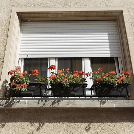 The Queen Luxury - Medici Appartamento *