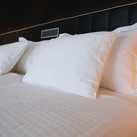 The Queen Luxury - Medici Apartment Luxembourg