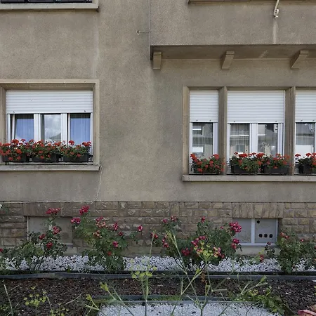 The Queen Luxury - Medici Appartement *