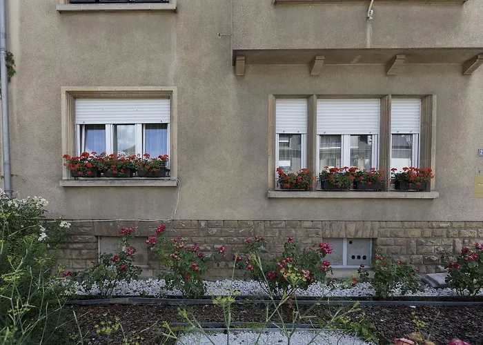 The Queen Luxury - Medici Apartment *